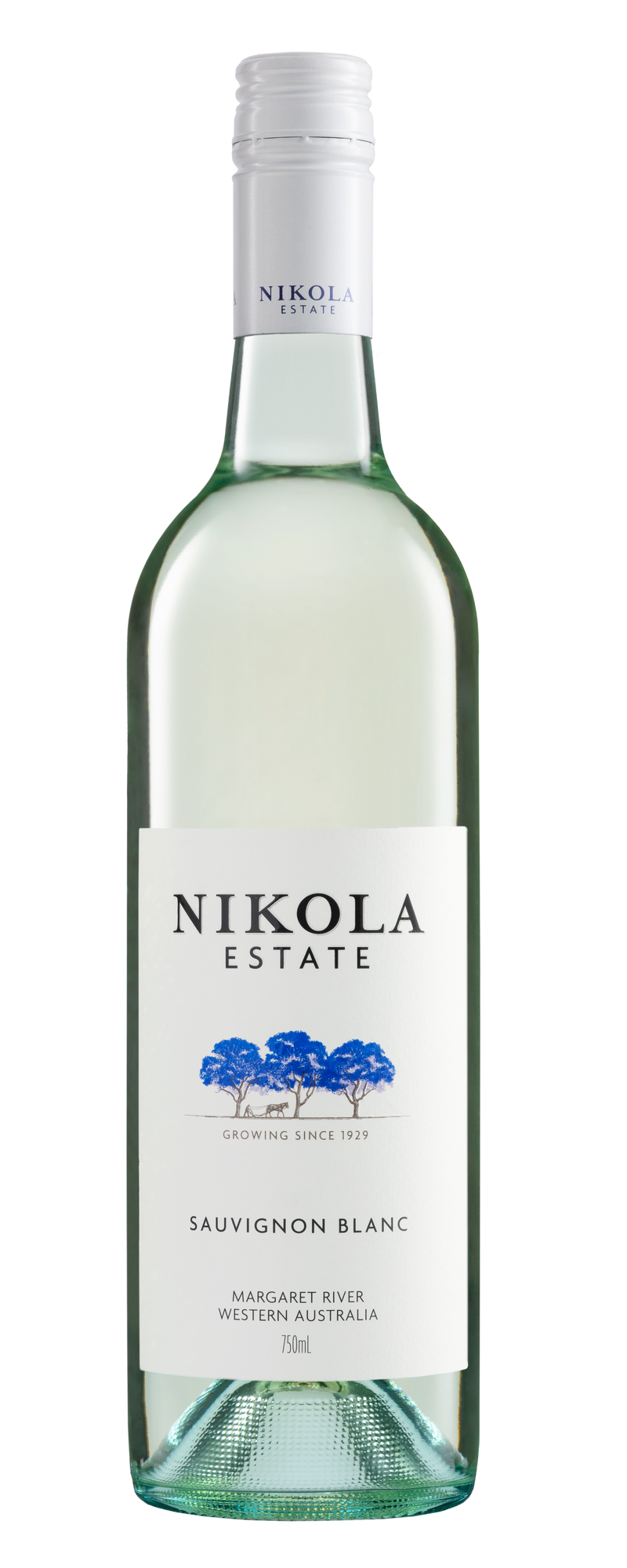Estate Sauvignon Blanc 2025